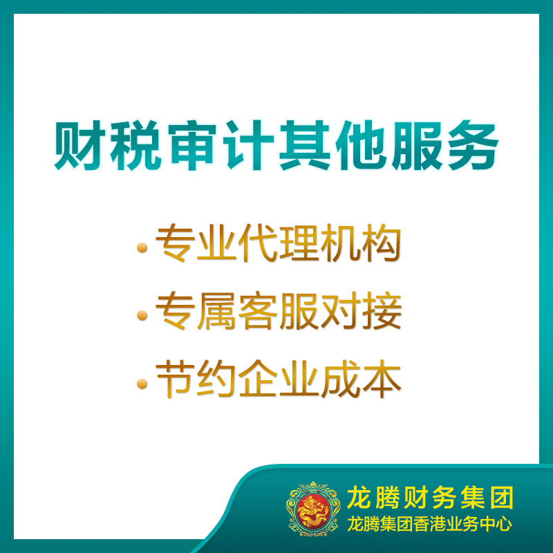 中国外资公司验资报告